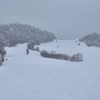 Winter am Kaiserstuhl