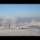 Winter am Kaiserstuhl