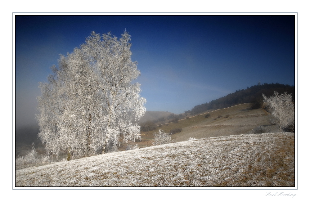 Winter am Kaiserstuhl