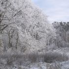 Winter am Kanal