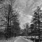 Winter am Kanal.