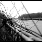 Winter am Kanal