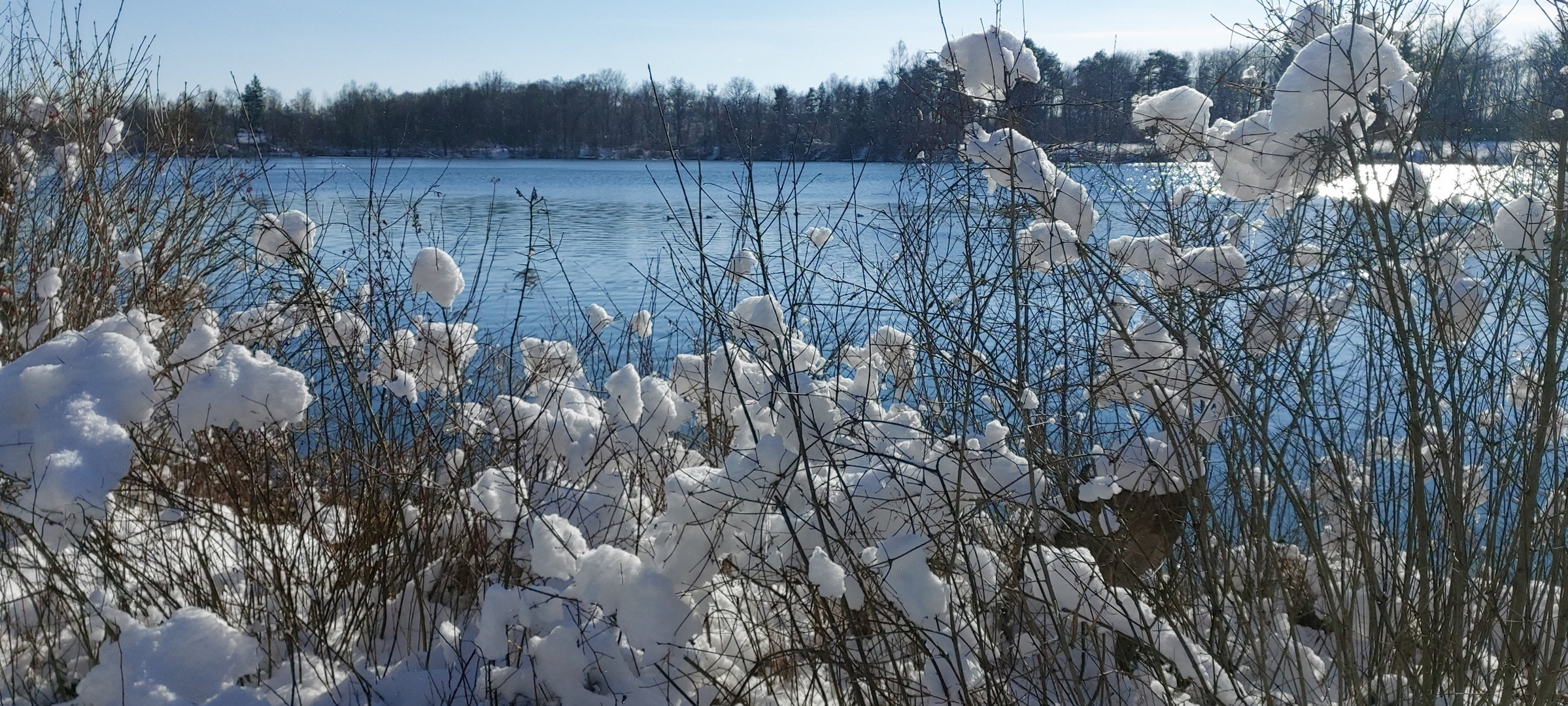 Winter am Kellmünzer See