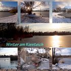 Winter am Kiesteich