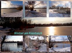 Winter am Kiesteich