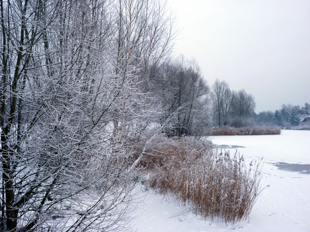 Winter am Kiesteich