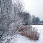 Winter am Kiesteich