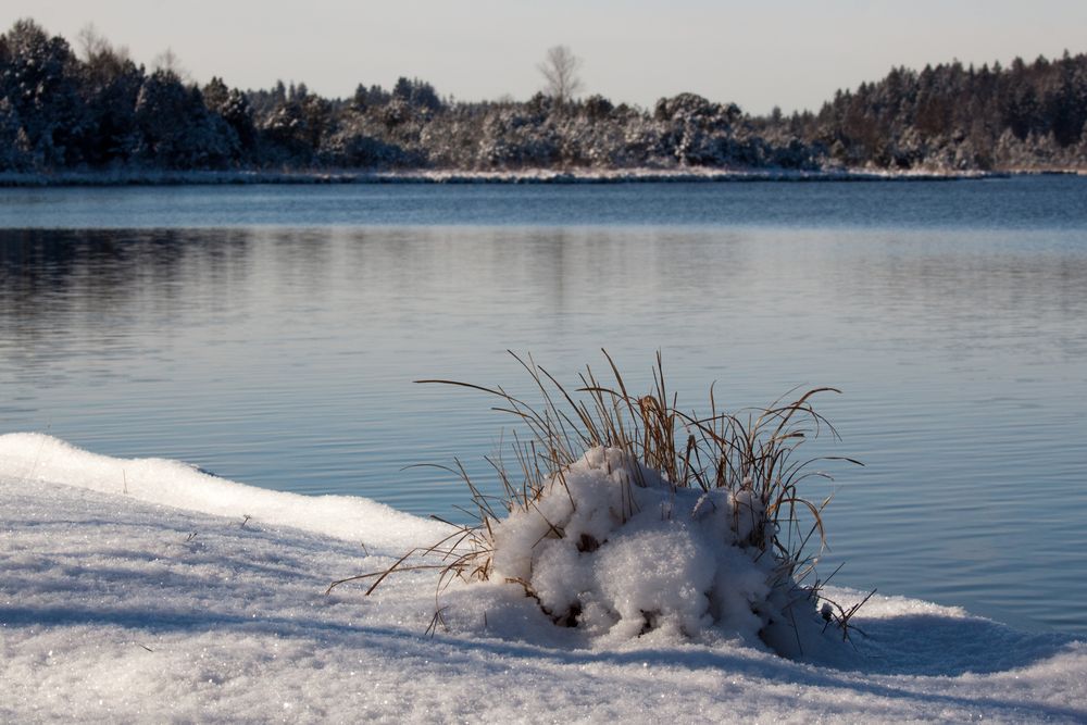 Winter am Kirchsee