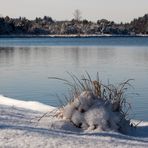 Winter am Kirchsee