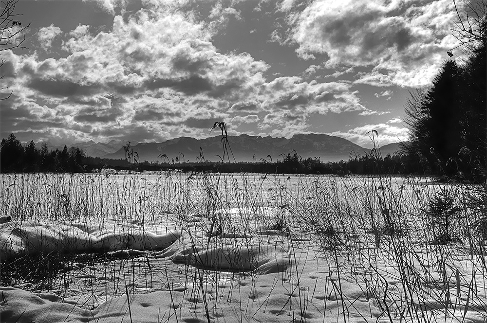 Winter am Kirchsee