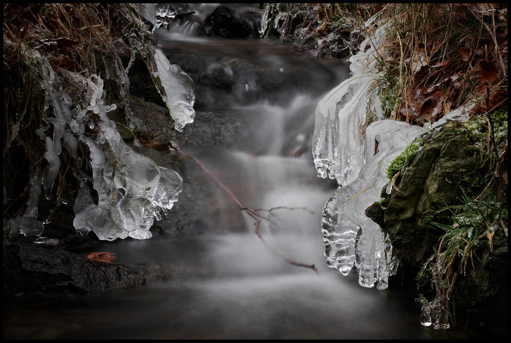 Winter am kleinen Bach