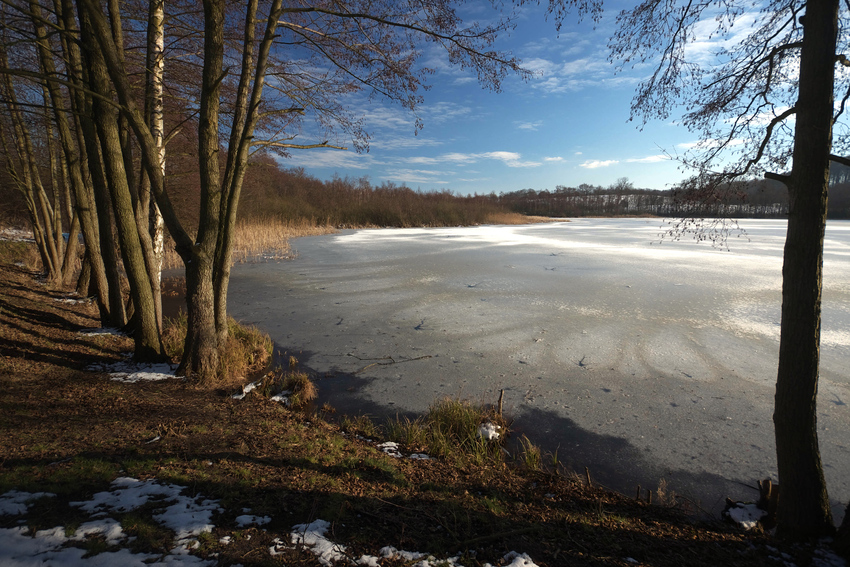 Winter am kleinen See