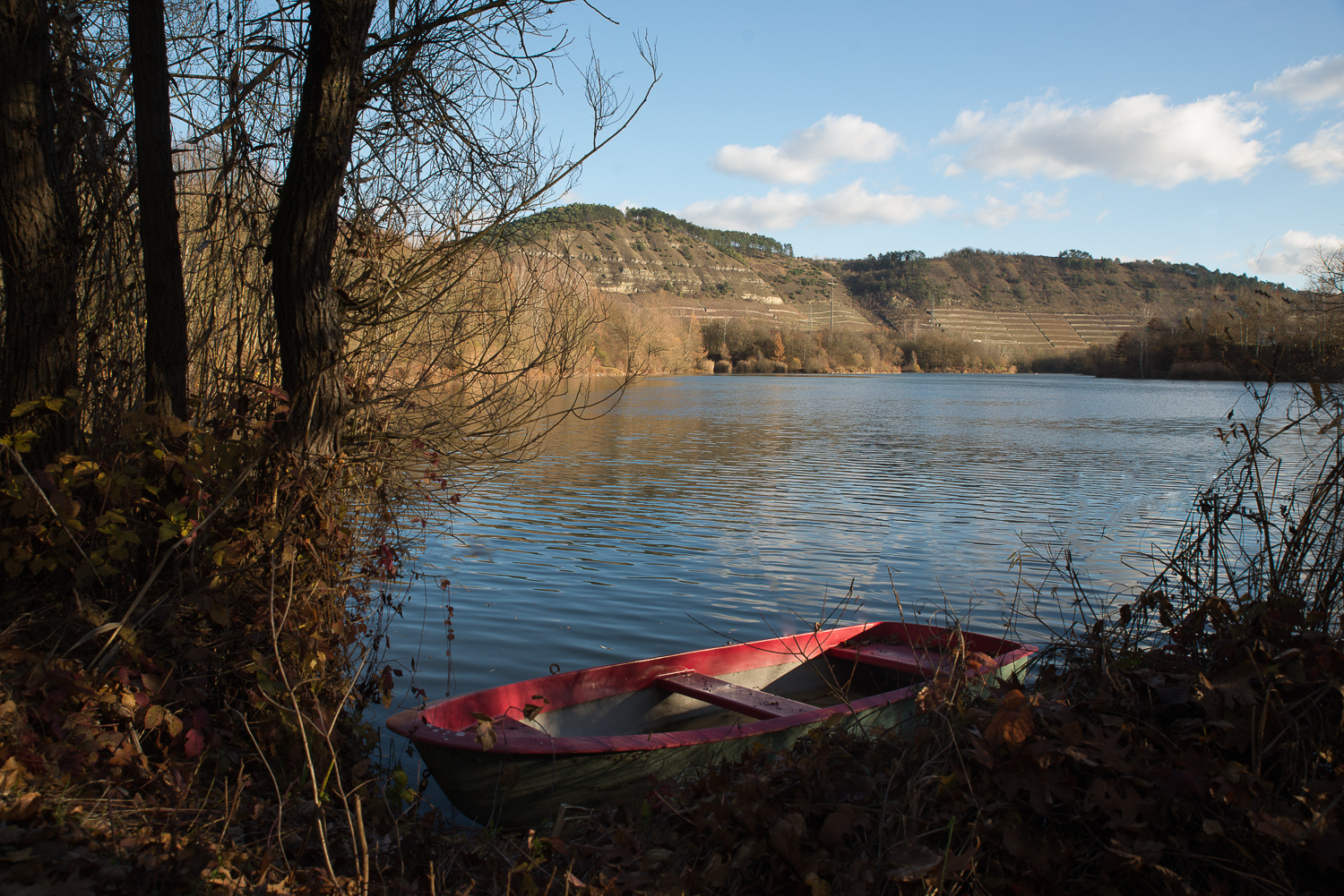 Winter am Klostersee