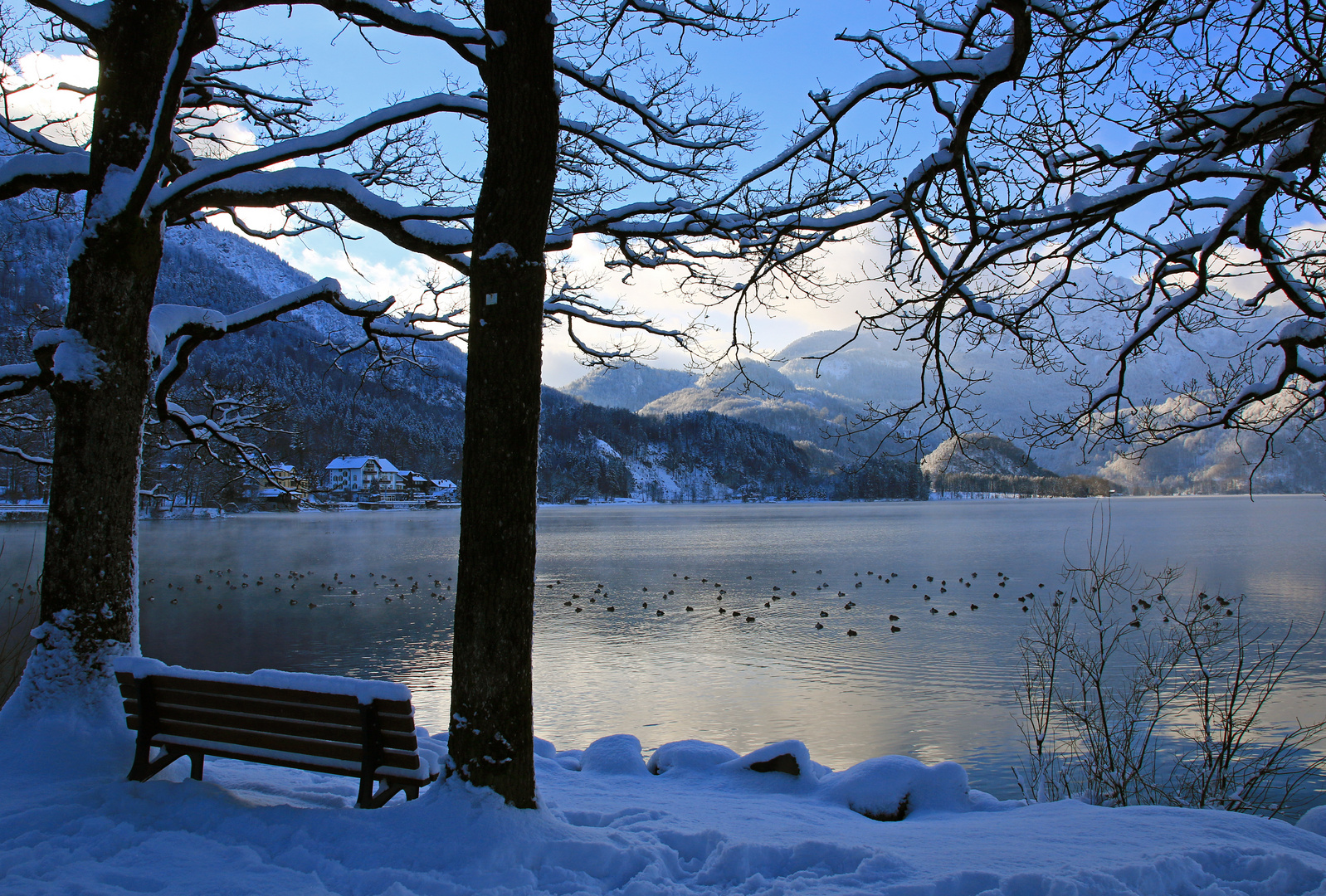 Winter am Kochelsee