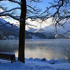 Winter am Kochelsee