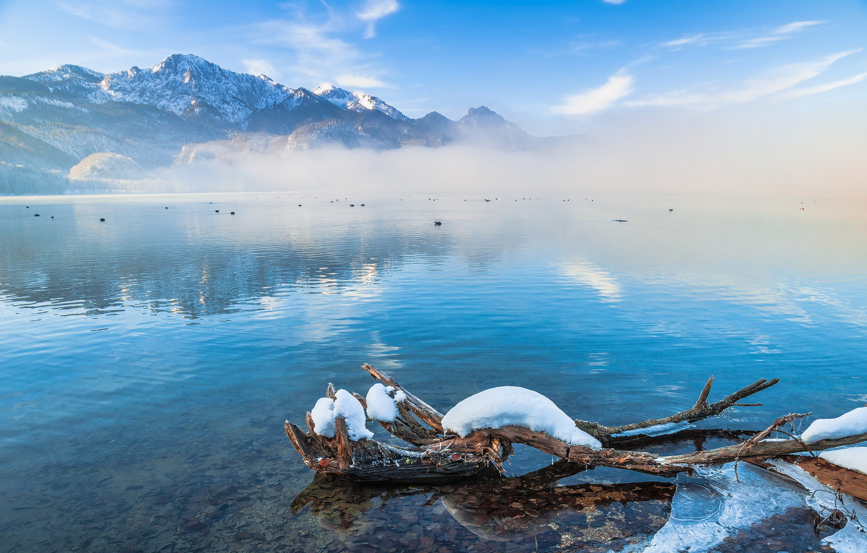 Winter am Kochelsee