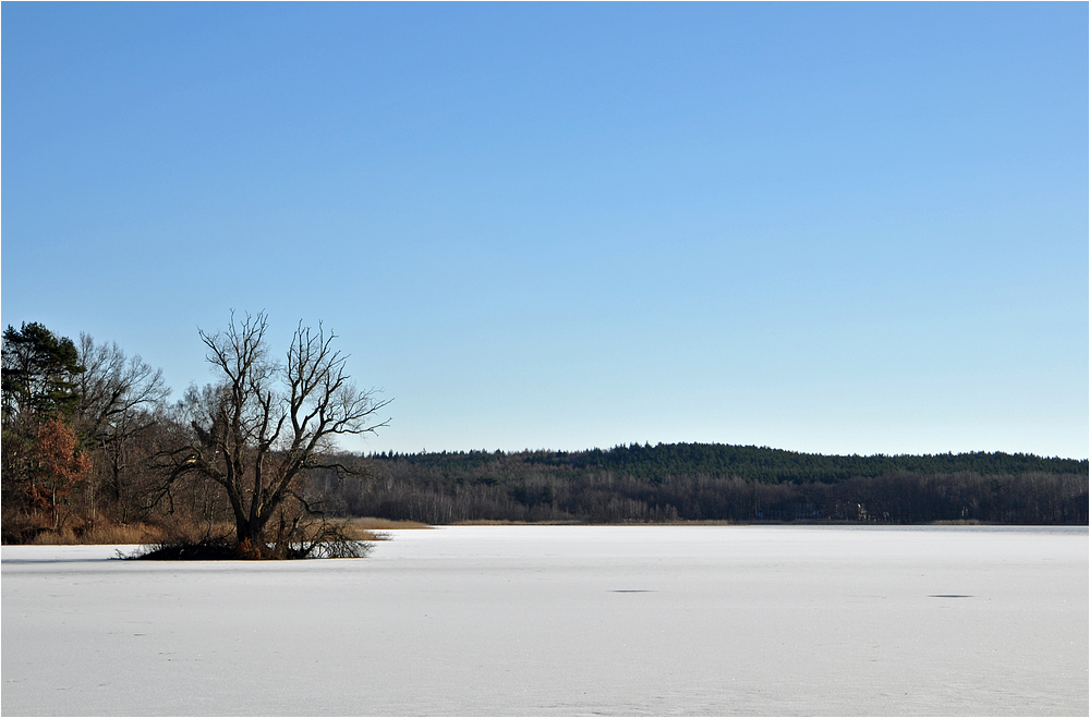 Winter am Kölpinsee 2