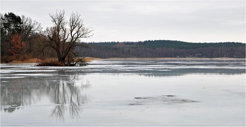 Winter am Kölpinsee 3