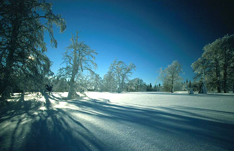 WINTER AM KOHLSCHACHTEN