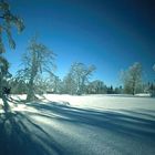 WINTER AM KOHLSCHACHTEN