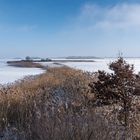 Winter am Krakower Obersee