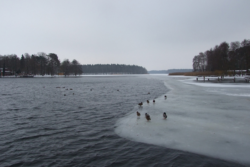 Winter am Kyritzer Untersee 2