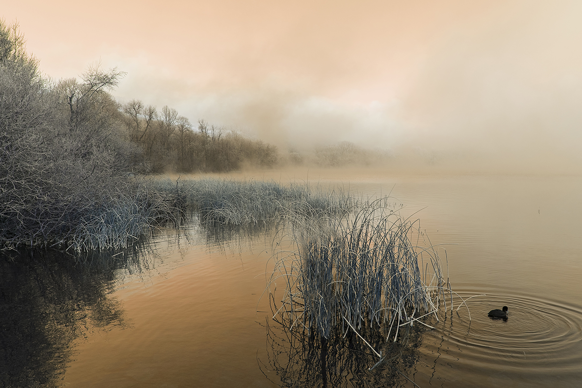 Winter am Laacher See