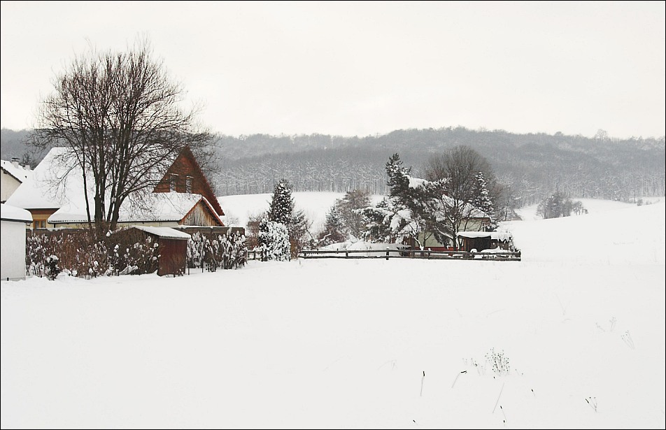 Winter am Land