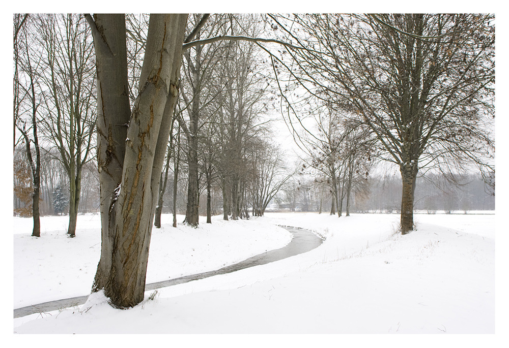 Winter am Laufbach