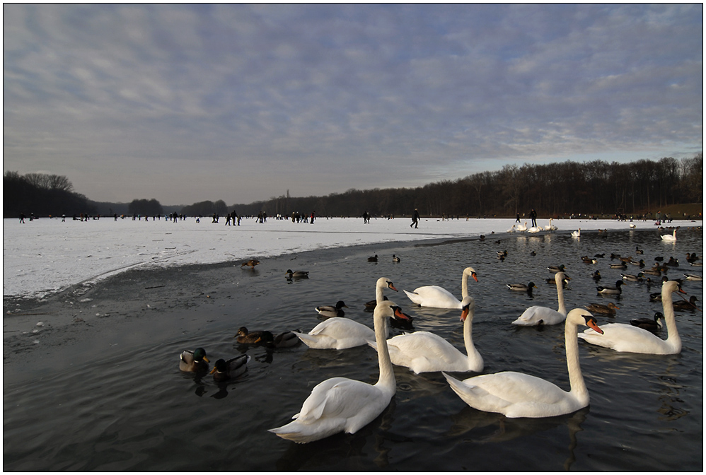 Winter am Lido