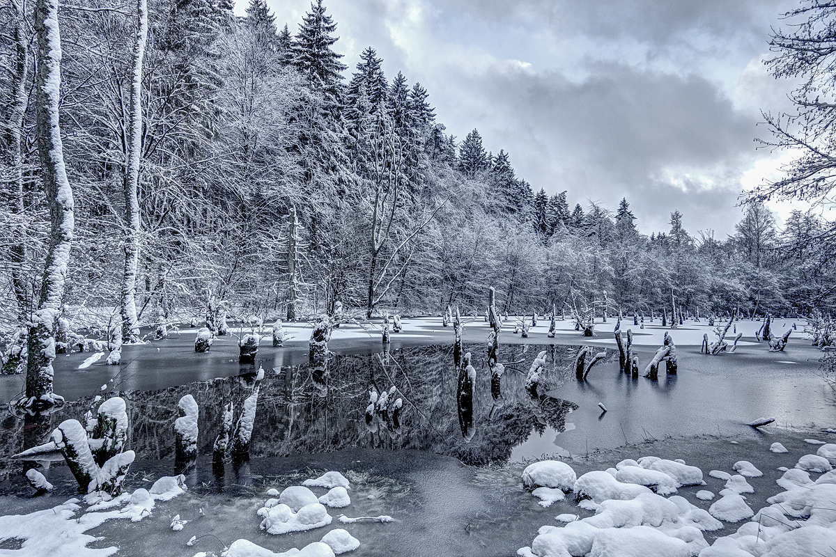 Winter am Lochborn-Teich