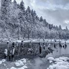 Winter am Lochborn-Teich