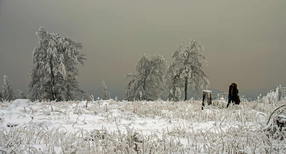 Winter am Lörmecketurm