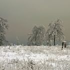 Winter am Lörmecketurm