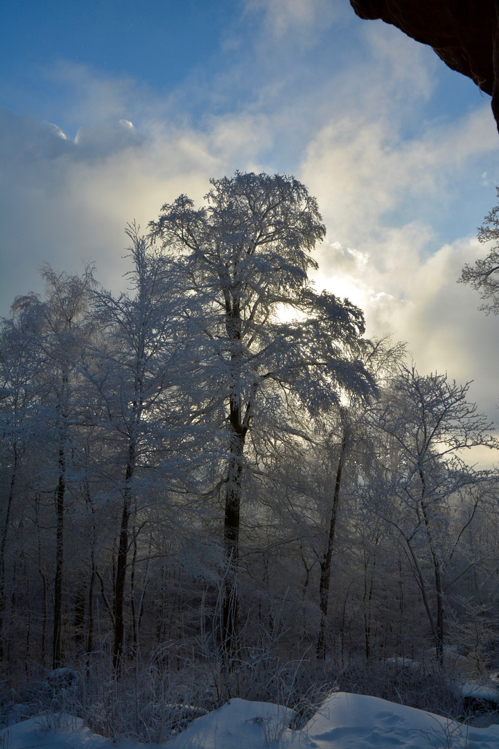 Winter am Luitpoldturm