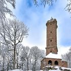 Winter am Luitpoldturm, mit einer der schönsten Aussichtstürme in der Pfalz.