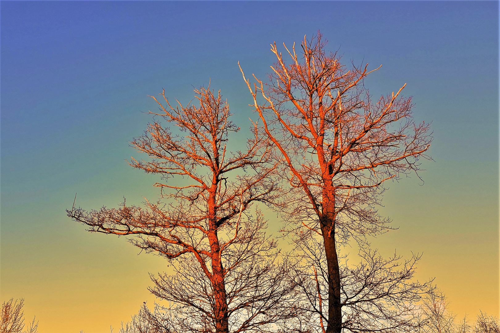 Winter am Maar