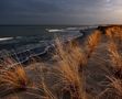 Darß/Zingst