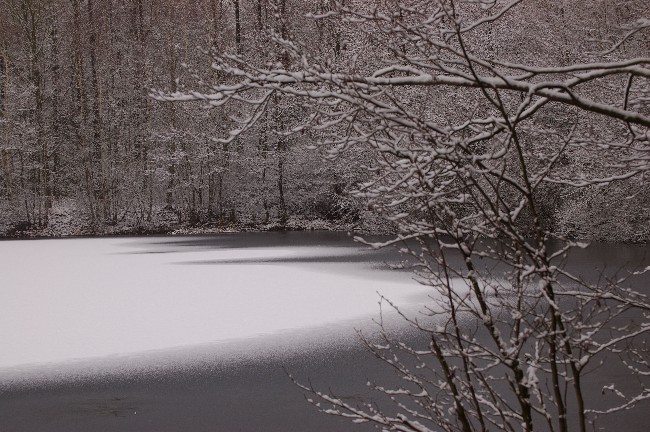 Winter am Meer 2