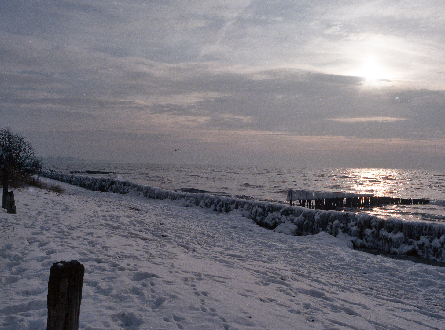 Winter am Meer