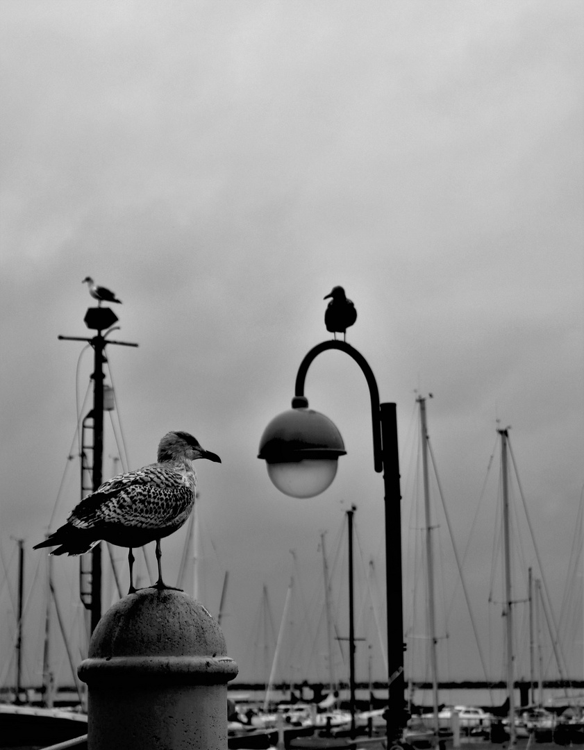 Winter am Meer