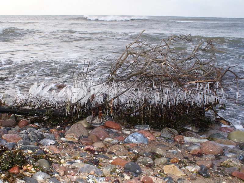 Winter am Meer II