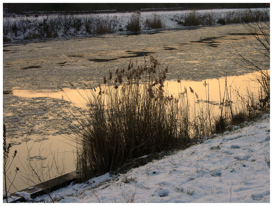 Winter am Mittellandkanal 2