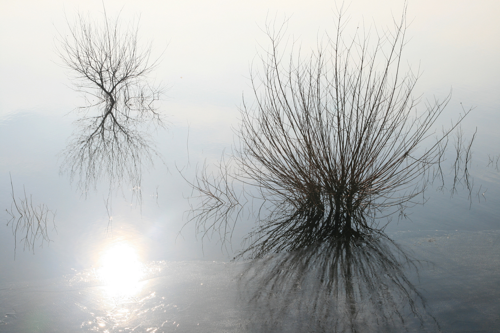 Winter am Möhnesee