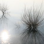 Winter am Möhnesee