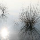 Winter am Möhnesee