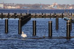 Winter am Mönkeberger Hafen