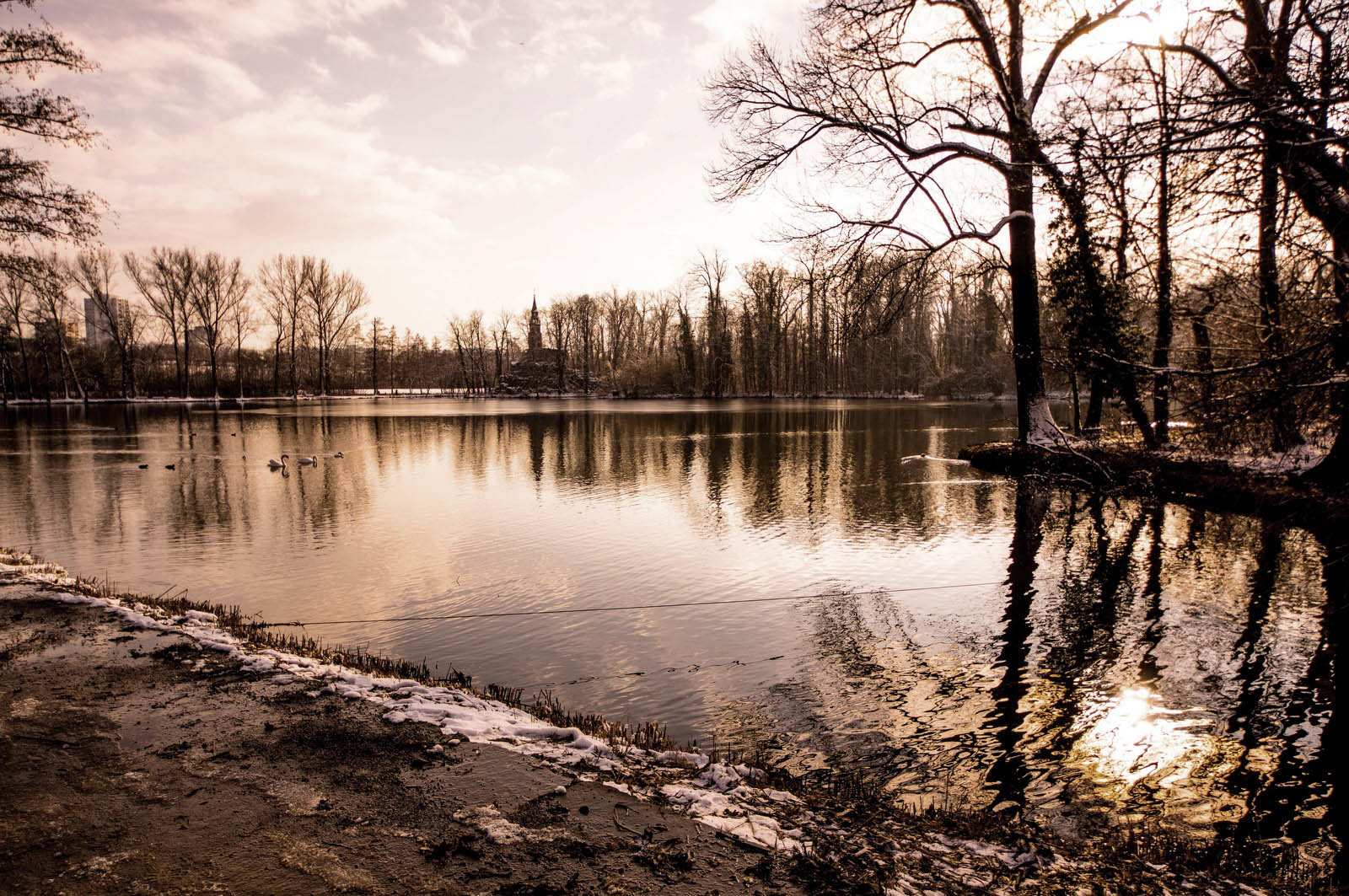 Winter am Monrepos