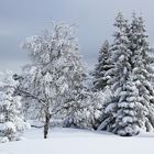 Winter am Mont Blanc