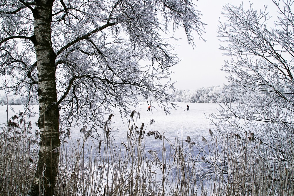 Winter am Moorsee